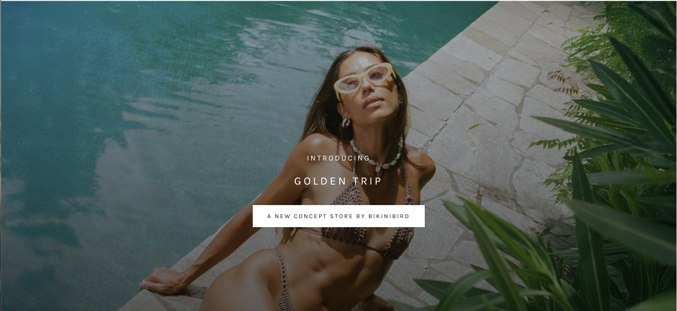 Golden Trip by Bikinibird photo